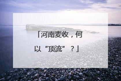 河南麦收，何以“顶流”？