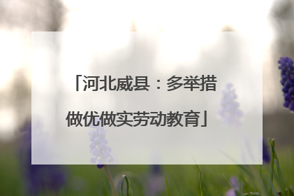 河北威县：多举措做优做实劳动教育