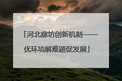 河北廊坊创新机制——优环境解难题促发展