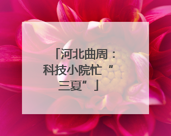 河北曲周：科技小院忙“三夏”