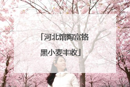 河北馆陶富铬黑小麦丰收