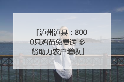泸州泸县：8000只鸡苗免费送 乡贤助力农户增收