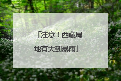 注意！西藏局地有大到暴雨