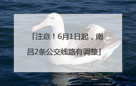 注意！6月1日起，南昌2条公交线路有调整