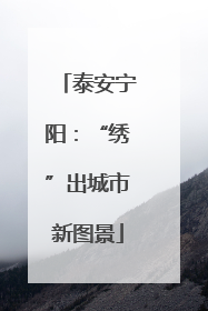 泰安宁阳：“绣”出城市新图景