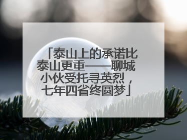 泰山上的承诺比泰山更重——聊城小伙受托寻英烈，七年四省终圆梦