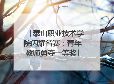 泰山职业技术学院闪耀省赛：青年教师勇夺一等奖