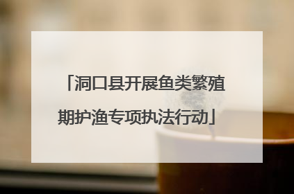 洞口县开展鱼类繁殖期护渔专项执法行动