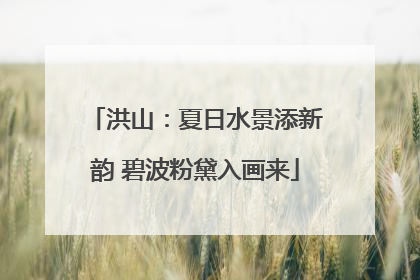 洪山：夏日水景添新韵 碧波粉黛入画来