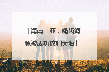 海南三亚：糙齿海豚被成功放归大海