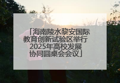 海南陵水黎安国际教育创新试验区举行2025年高校发展协同圆桌会会议