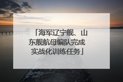 海军辽宁舰、山东舰航母编队完成实战化训练任务