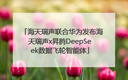 海天瑞声联合华为发布海天瑞声x昇腾DeepSeek数据飞轮智能体