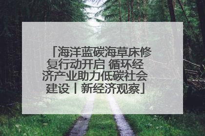 海洋蓝碳海草床修复行动开启 循环经济产业助力低碳社会建设丨新经济观察