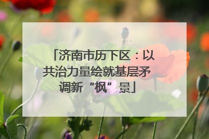 济南市历下区：以共治力量绘就基层矛调新“枫”景