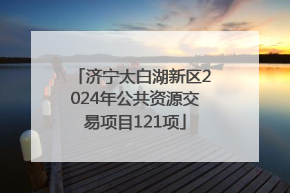 济宁太白湖新区2024年公共资源交易项目121项