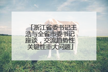 浙江省委书记王浩与全省市委书记座谈，交流趋势性关键性重大问题