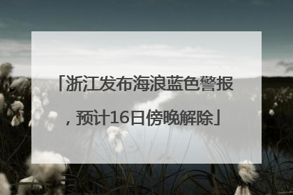 浙江发布海浪蓝色警报，预计16日傍晚解除