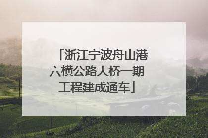 浙江宁波舟山港六横公路大桥一期工程建成通车
