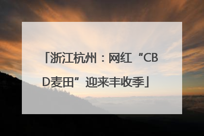 浙江杭州：网红“CBD麦田”迎来丰收季