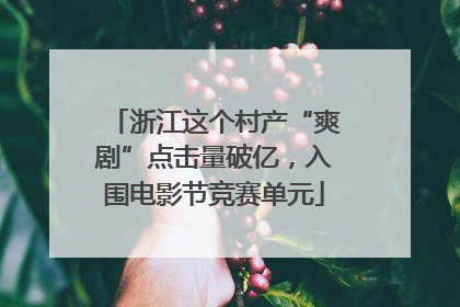 浙江这个村产“爽剧”点击量破亿，入围电影节竞赛单元