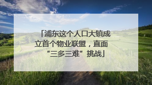 浦东这个人口大镇成立首个物业联盟，直面“三多三难”挑战