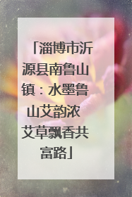 淄博市沂源县南鲁山镇：水墨鲁山艾韵浓 艾草飘香共富路