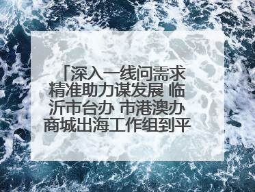 深入一线问需求 精准助力谋发展 临沂市台办 市港澳办商城出海工作组到平邑县走访调研