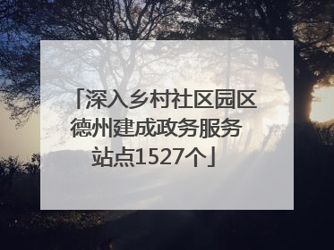 深入乡村社区园区 德州建成政务服务站点1527个