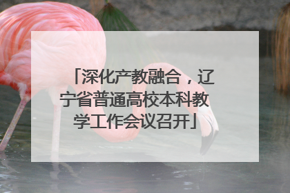 深化产教融合，辽宁省普通高校本科教学工作会议召开