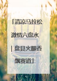 清凉马拉松 激情六盘水｜盘县火腿香飘赛道