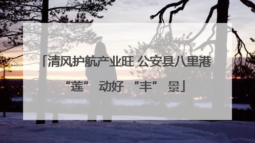 清风护航产业旺 公安县八里港 “莲” 动好 “丰” 景