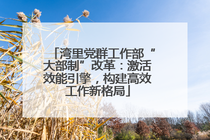 湾里党群工作部“大部制”改革：激活效能引擎，构建高效工作新格局