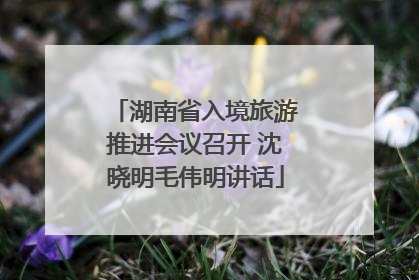 湖南省入境旅游推进会议召开 沈晓明毛伟明讲话