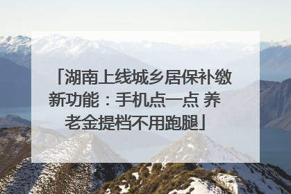 湖南上线城乡居保补缴新功能：手机点一点 养老金提档不用跑腿
