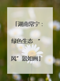 湖南常宁：绿色生态 “风”景如画