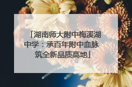 湖南师大附中梅溪湖中学：承百年附中血脉 筑全新品质高地