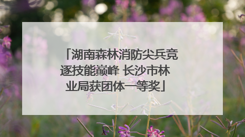 湖南森林消防尖兵竞逐技能巅峰 长沙市林业局获团体一等奖