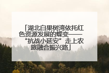 湖北白果树湾依托红色资源发展的蝶变——“抗战小延安”走上农旅融合振兴路
