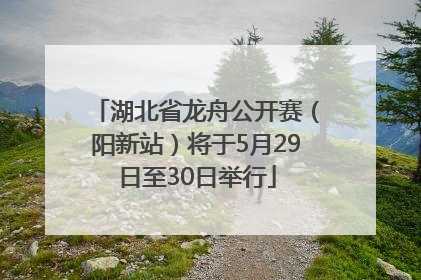 湖北省龙舟公开赛（阳新站）将于5月29日至30日举行