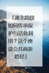 湖北简牍如何传承保护与活化利用？这个座谈会共商新路径
