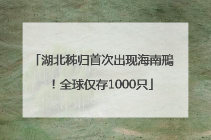 湖北秭归首次出现海南鳽！全球仅存1000只