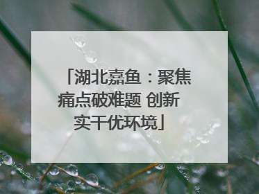 湖北嘉鱼：聚焦痛点破难题 创新实干优环境