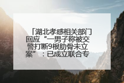 湖北孝感相关部门回应“一男子称被交警打断9根肋骨未立案”：已成立联合专班开展工作