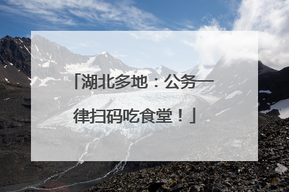 湖北多地：公务一律扫码吃食堂！