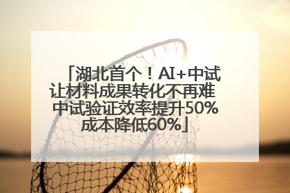 湖北首个！AI+中试让材料成果转化不再难 中试验证效率提升50%成本降低60%