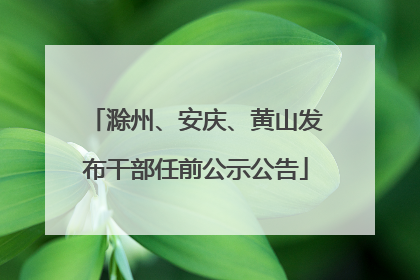 滁州、安庆、黄山发布干部任前公示公告