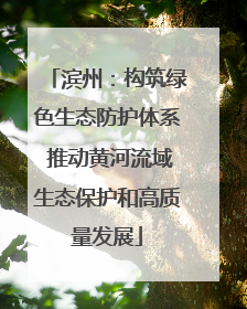 滨州：构筑绿色生态防护体系 推动黄河流域生态保护和高质量发展