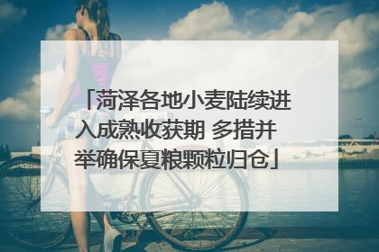 菏泽各地小麦陆续进入成熟收获期 多措并举确保夏粮颗粒归仓