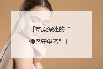 草原深处的“候鸟守望者”